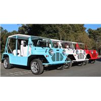 tgl-p-024-196-v-tt-width-1200-height-630-fill-0-crop-1-bgcolor-ffffff mini moke.jpg